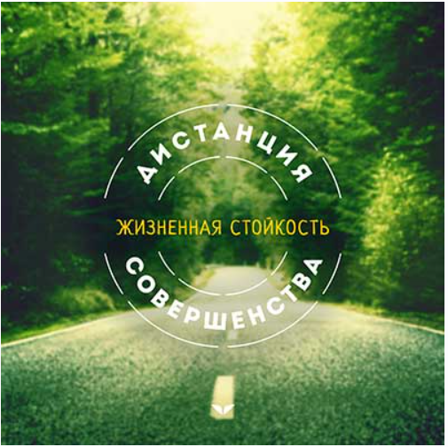 Жизненная стойкость как быть сильнее любых трудностей (Николай Козлов)