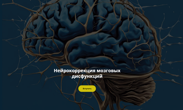 Нейрокоррекция мозговых дисфункций. Январь 2025 (Салима Саиди)