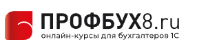 Профессиональный бухгалтерский и налоговый учёт в 1С Бухгалтерия 8 редакция 3.0 (Ольга Шерст)