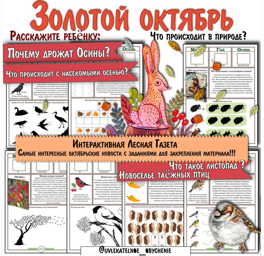 [Увлекательное обучение] Интерактивная Лесная газета. Октябрь (Елена Солдатова)