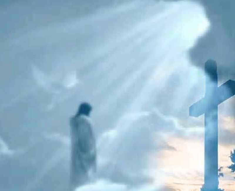 Защита Святого Креста (Трейси Лопер)