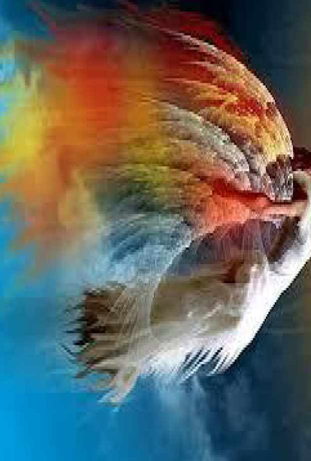 Надежды ангела Акаши (Дин Кингетт)