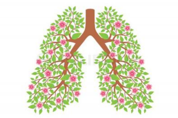 Астма, простуда и аллергия прощай (Виктор Луганский)