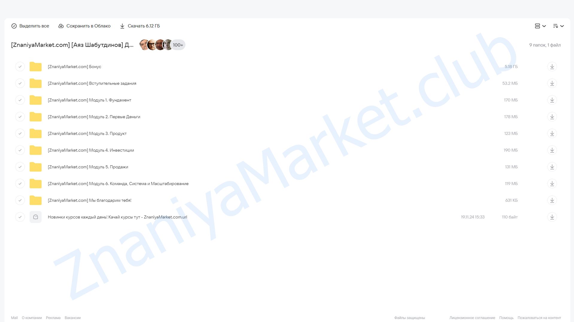 Долина 20.0 (Аяз Шабутдинов) облако mail, фото 2 из 2.