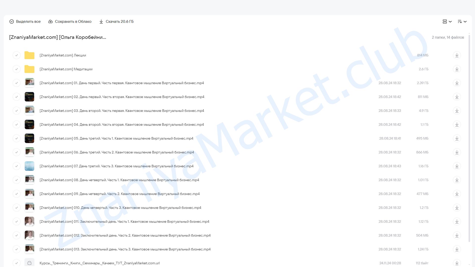 Квантовое мышление: виртуальный бизнес (Ольга Коробейникова) облако mail, фото 2 из 2.