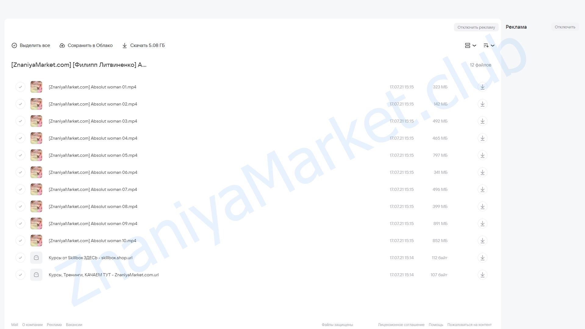 Абсолютная женственность (Филипп Литвиненко) облако mail, фото 2 из 2.
