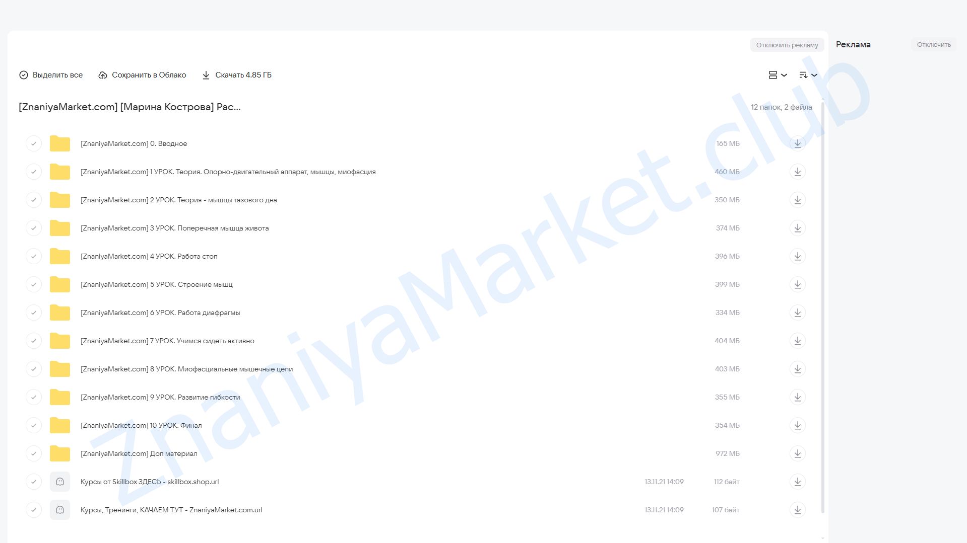 Растяжка с нуля. 1 Модуль (Марина Кострова) облако mail, фото 2 из 2.