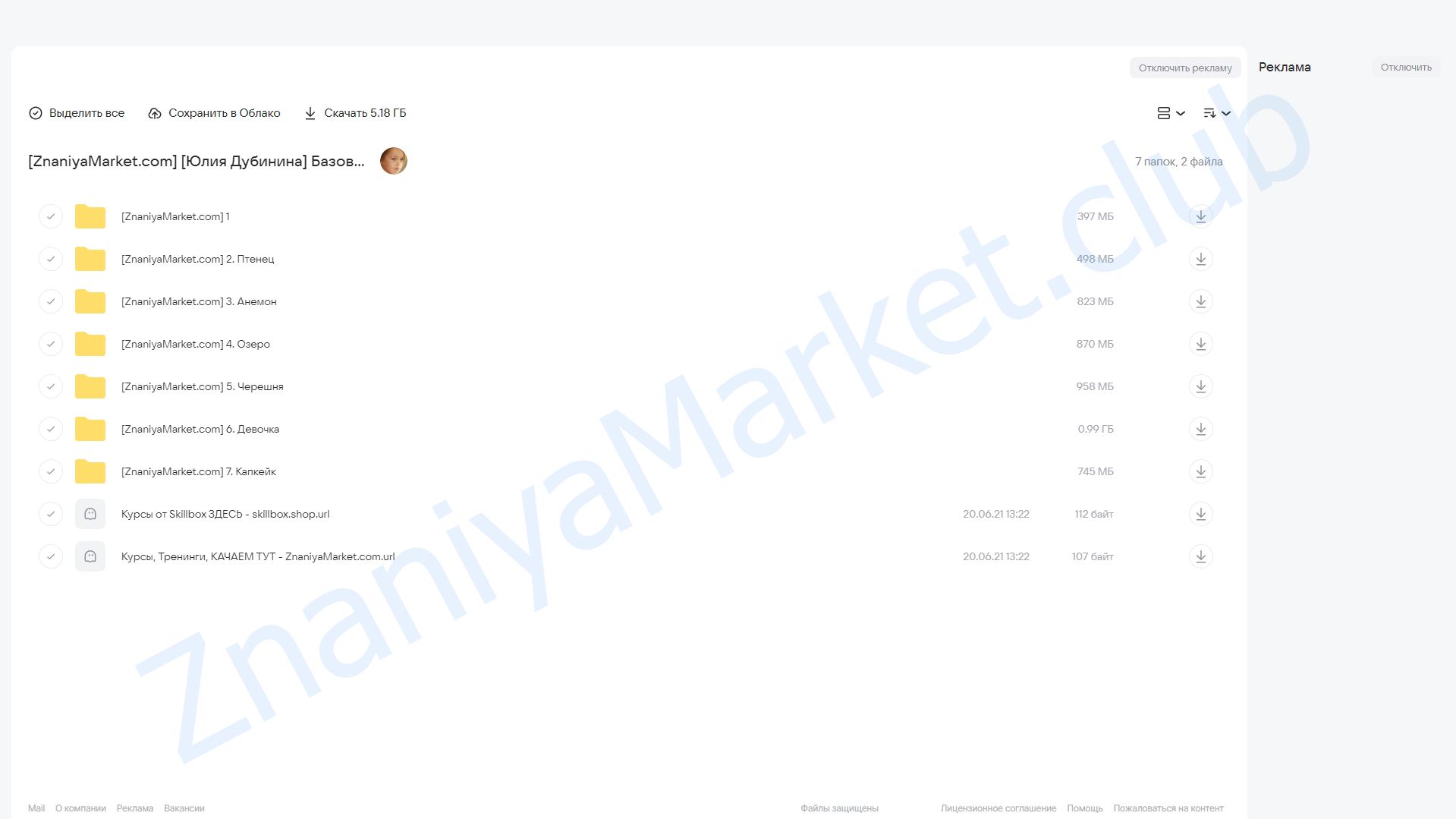 Базовый курс по реализму в пастельной технике (Юлия Дубинина) облако mail, фото 2 из 2.