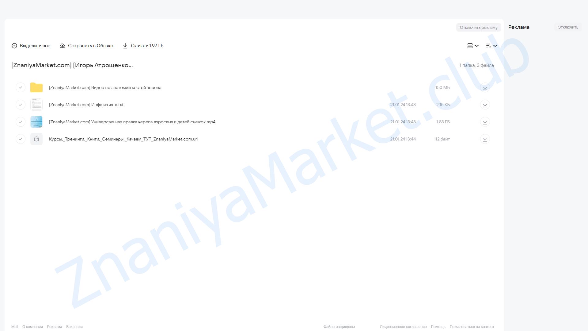 Универсальная правка черепа взрослых и детей «Снежок» (Игорь Атрощенко) облако mail, фото 2 из 2.