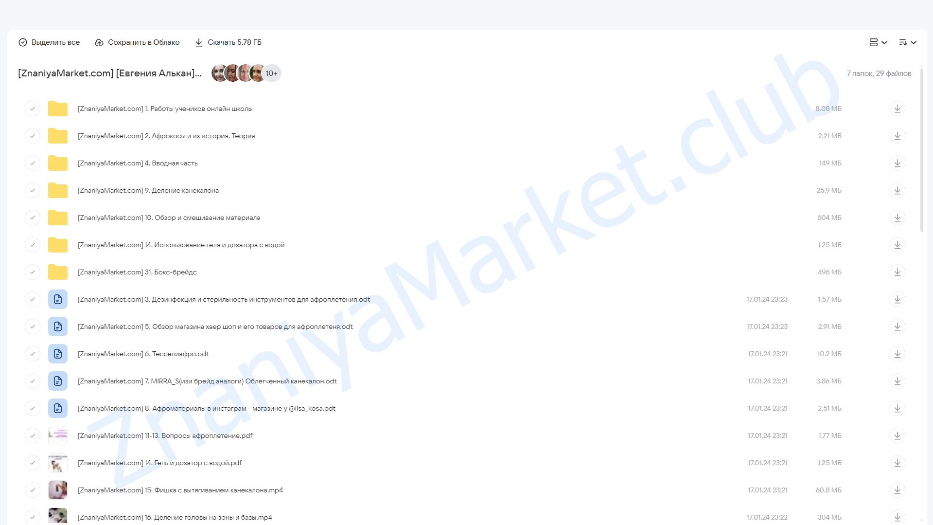 [Первая онлайн-школа афроплетения]  Точечное плетение (Евгения Алькан) облако mail, фото 2 из 2.