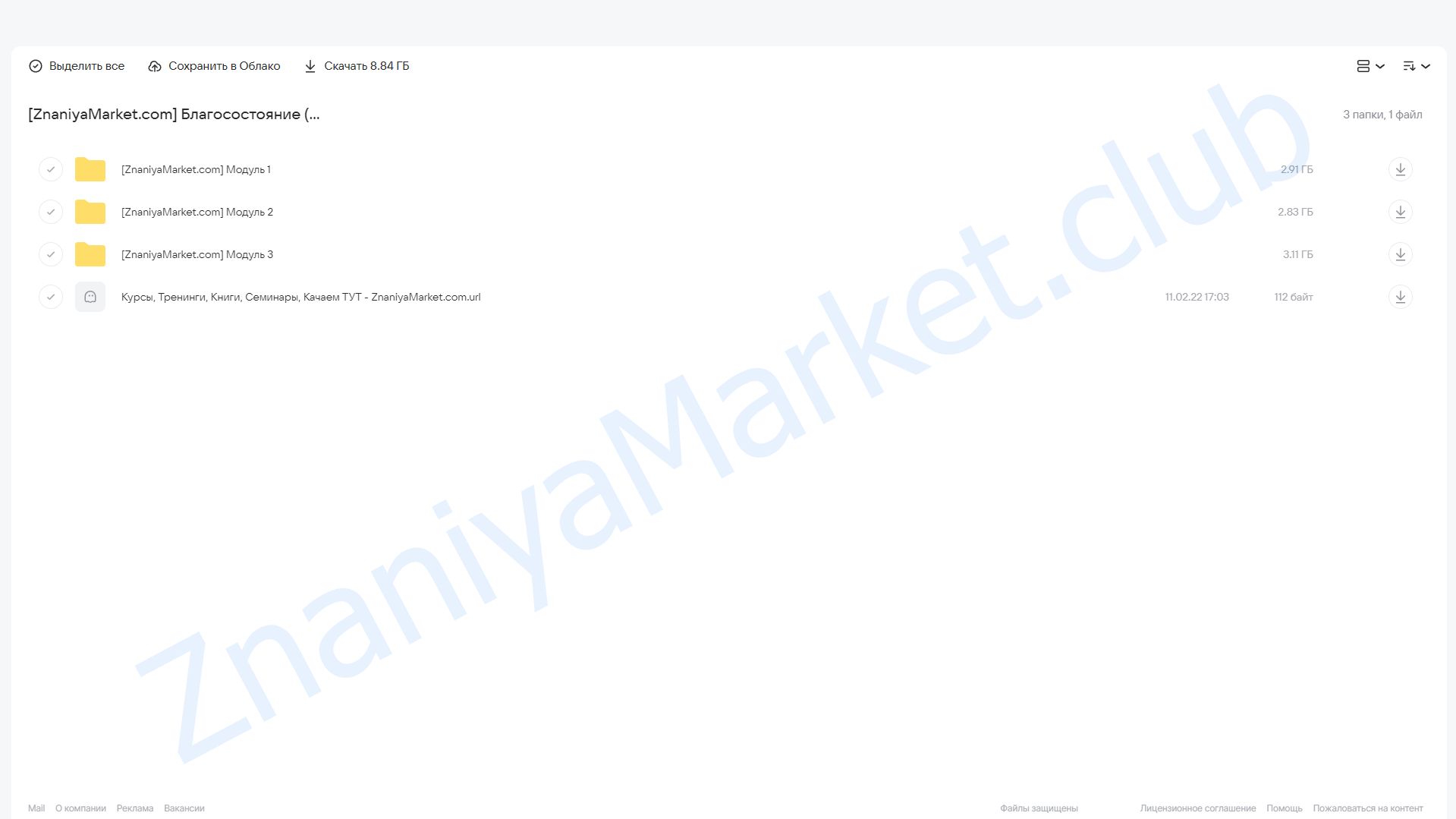 Курс Благосостояние (Егор Арсланов) облако mail, фото 2 из 2.