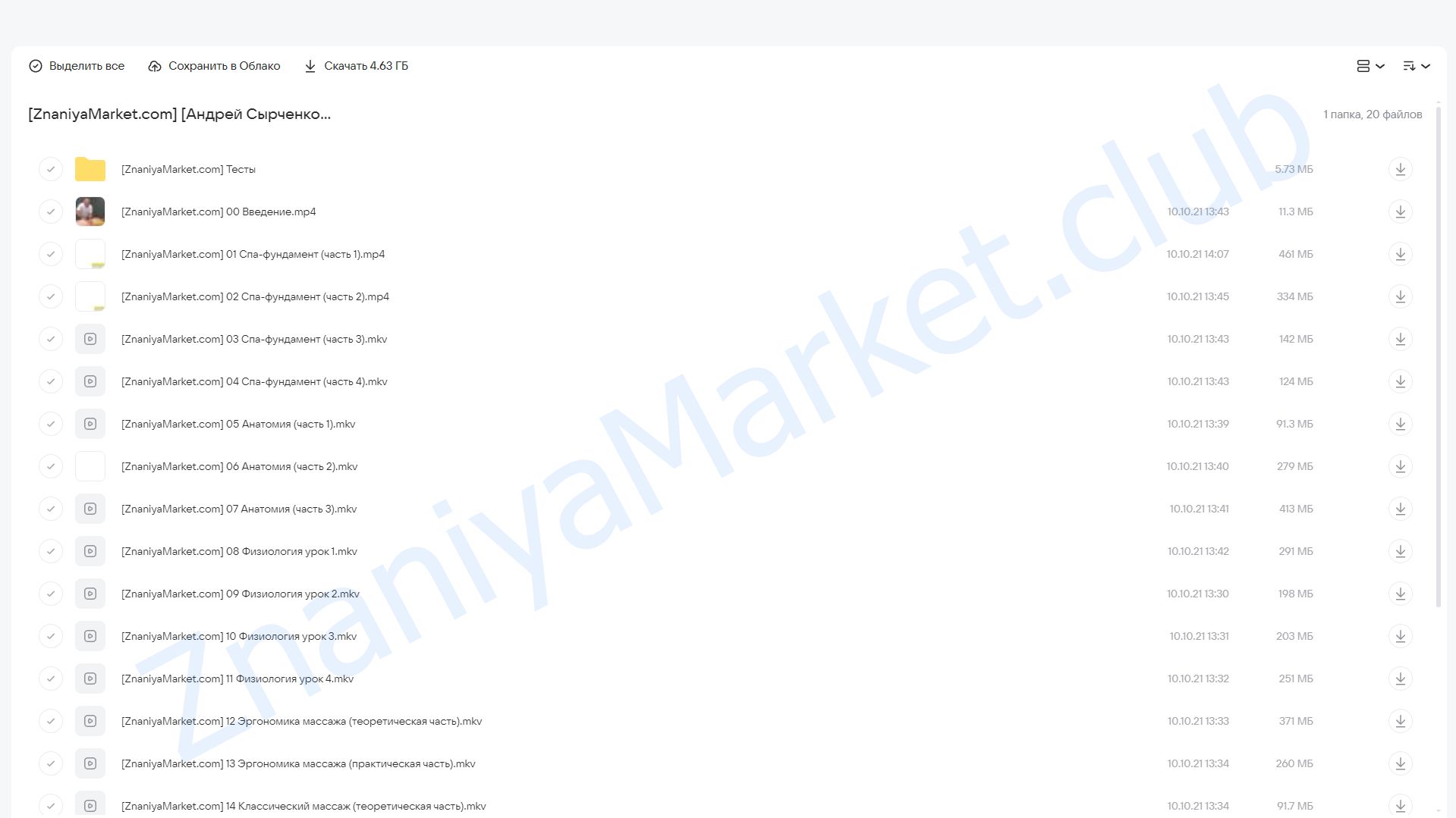 [spaschool]  Базовый курс обучения массажу (Андрей Сырченко, Александр Щепарёв) облако mail, фото 2 из 2.