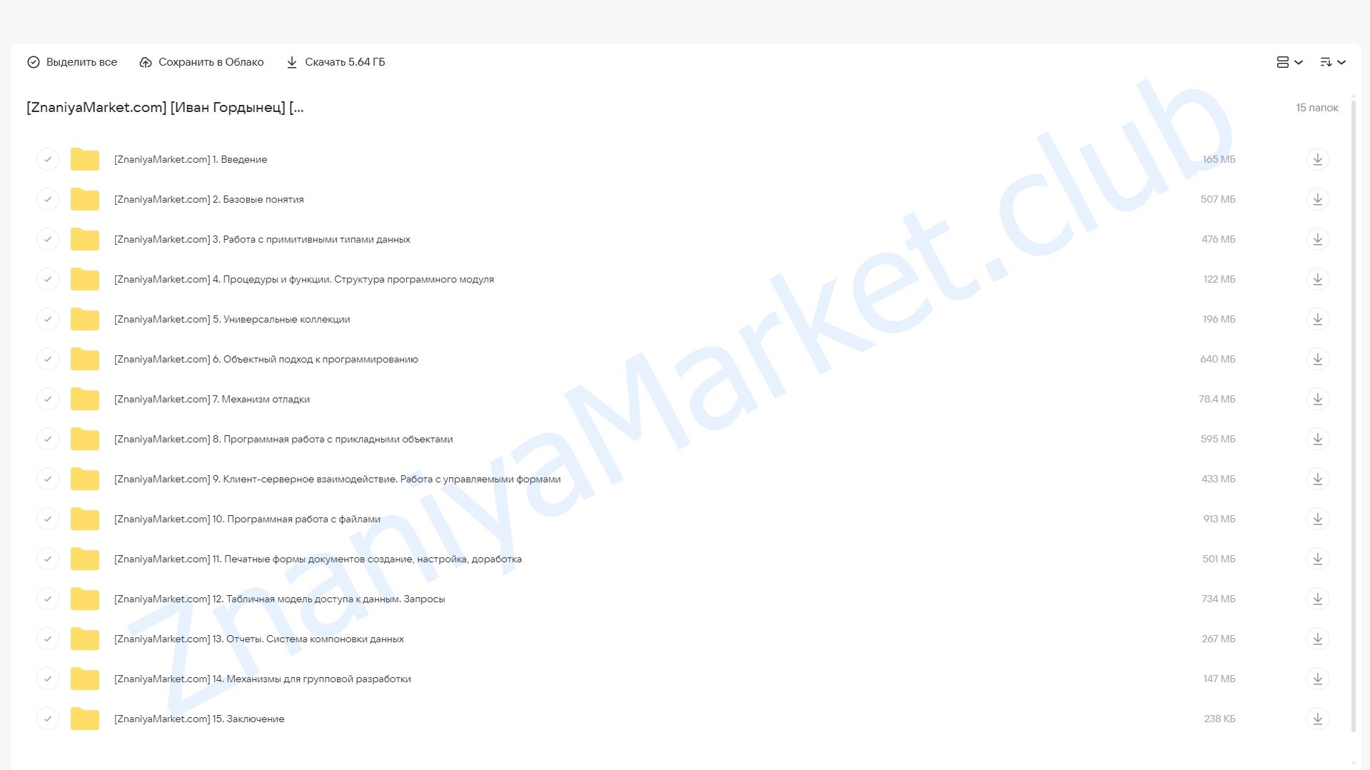 [ironskills] Программирование в 1С для начинающих, 2021. Тариф Базовый (Иван Гордынец) облако mail, фото 2 из 2.