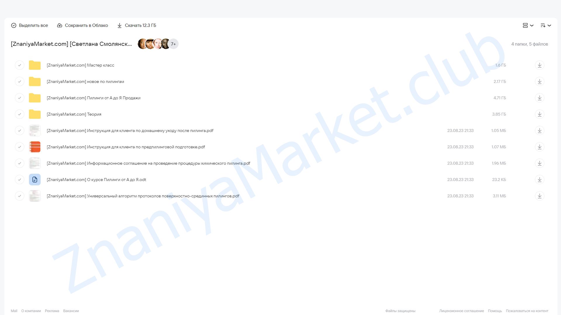 [cosveticschool] Химические пилинги от А до Я. Пакет Искусство пилингов (Светлана Смолянски) облако mail, фото 2 из 2.