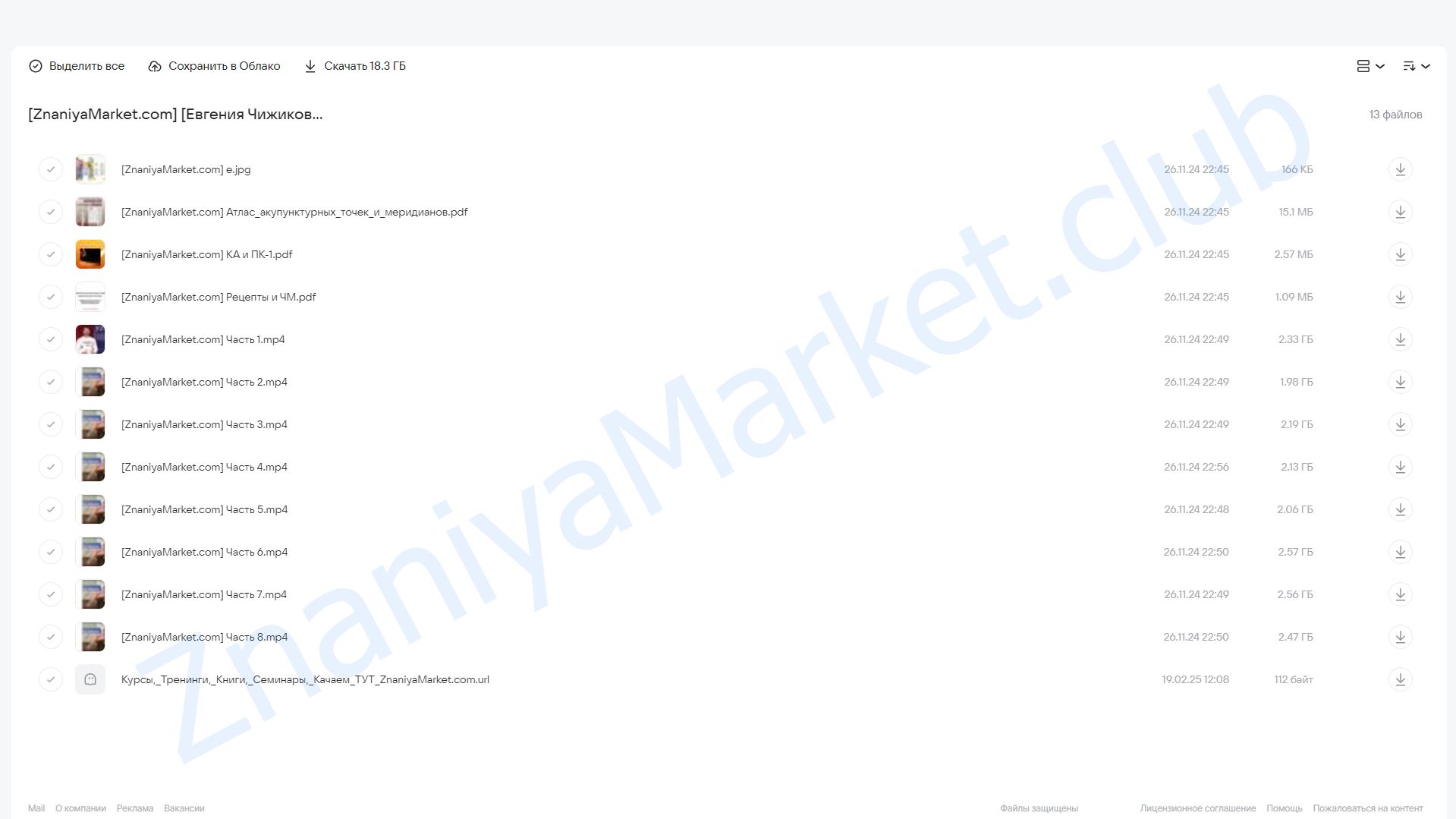 Энергетическая коррекция в прикладной кинезиологии (Евгения Чижикова) облако mail, фото 2 из 2.