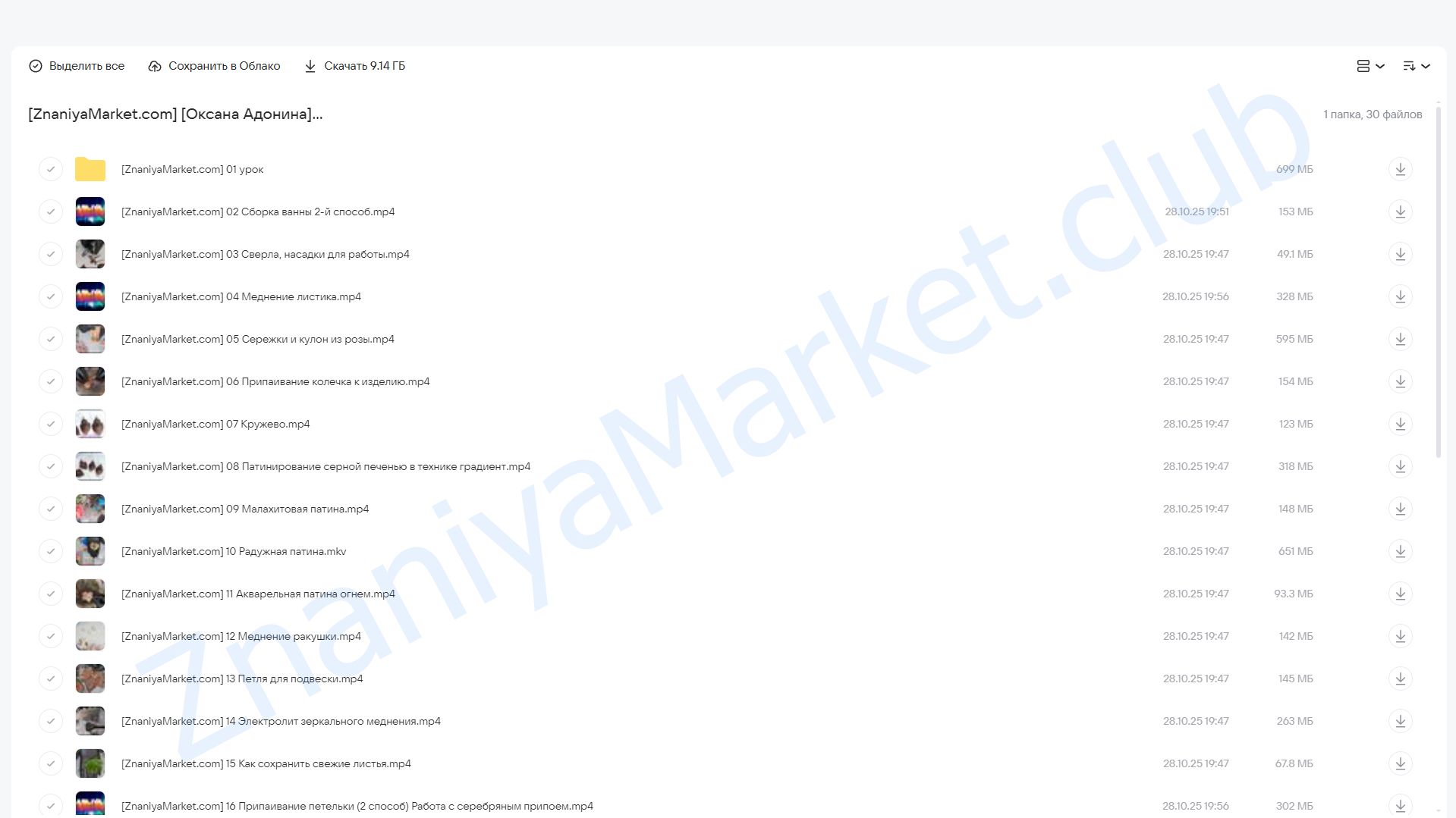 Курс гальванопластики. Стандарт (Оксана Адонина) облако mail, фото 2 из 2.