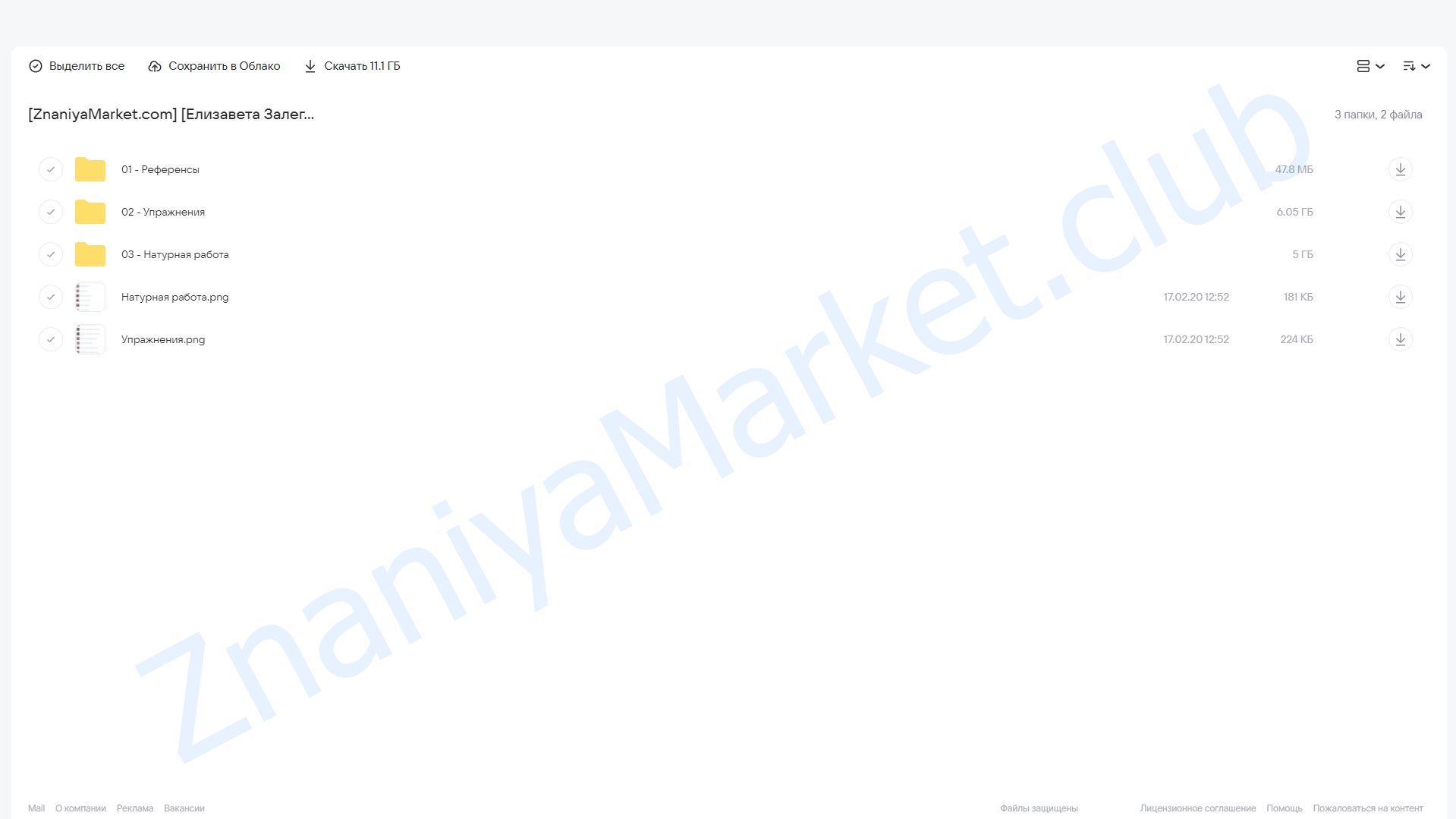 Вводный курс для начинающих (Елизавета Залегина) облако mail, фото 2 из 2.