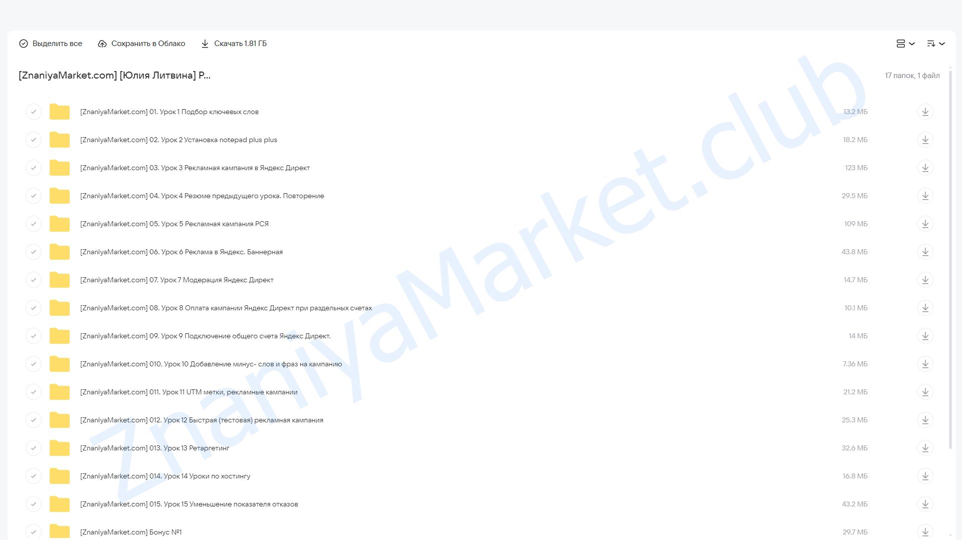 Реклама в Яндекс Директ. Для инфобизнеса и партнерского маркетинга (Юлия Литвина) облако mail, фото 2 из 2.