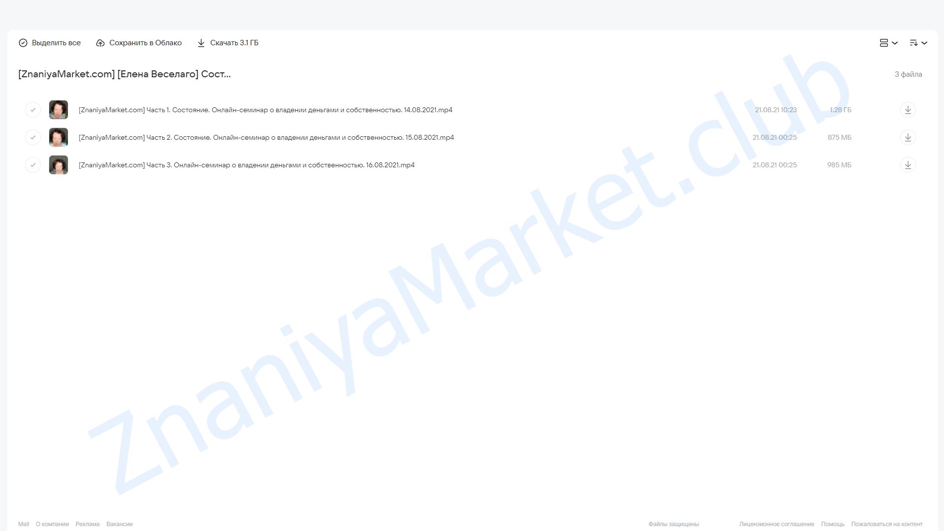 Состояние. Семинар о владении деньгами и собственностью (Елена Веселаго) облако mail, фото 2 из 2.