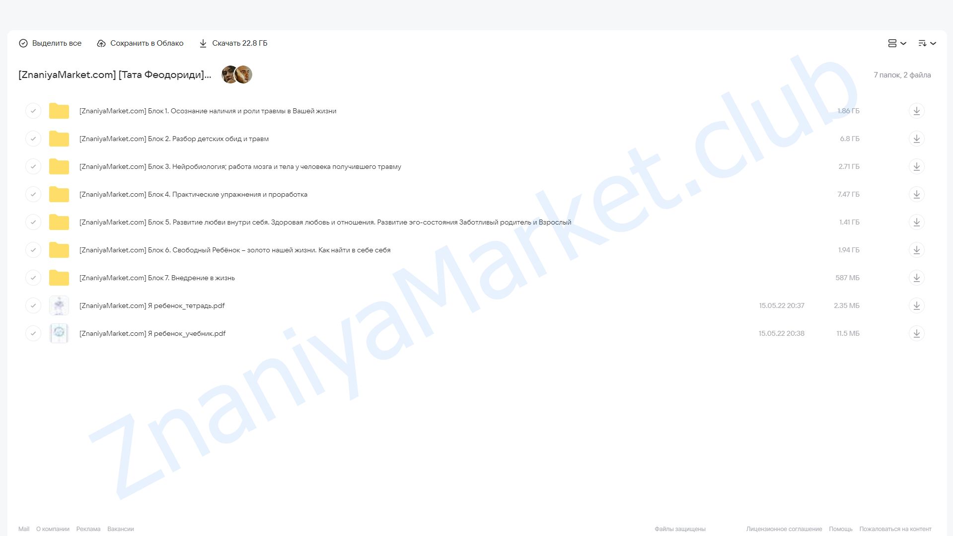 Я-Ребенок 3.0 (Тата Феодориди) облако mail, фото 2 из 2.