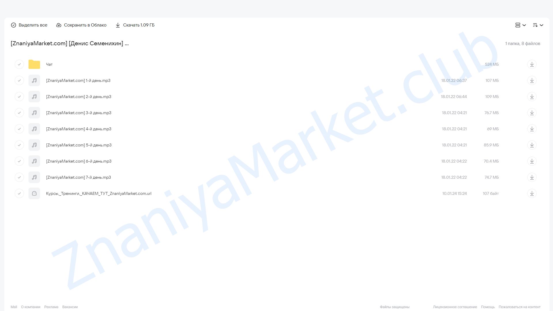 6 Важнейших жизненных настроек (Денис Семенихин) облако mail, фото 2 из 2.