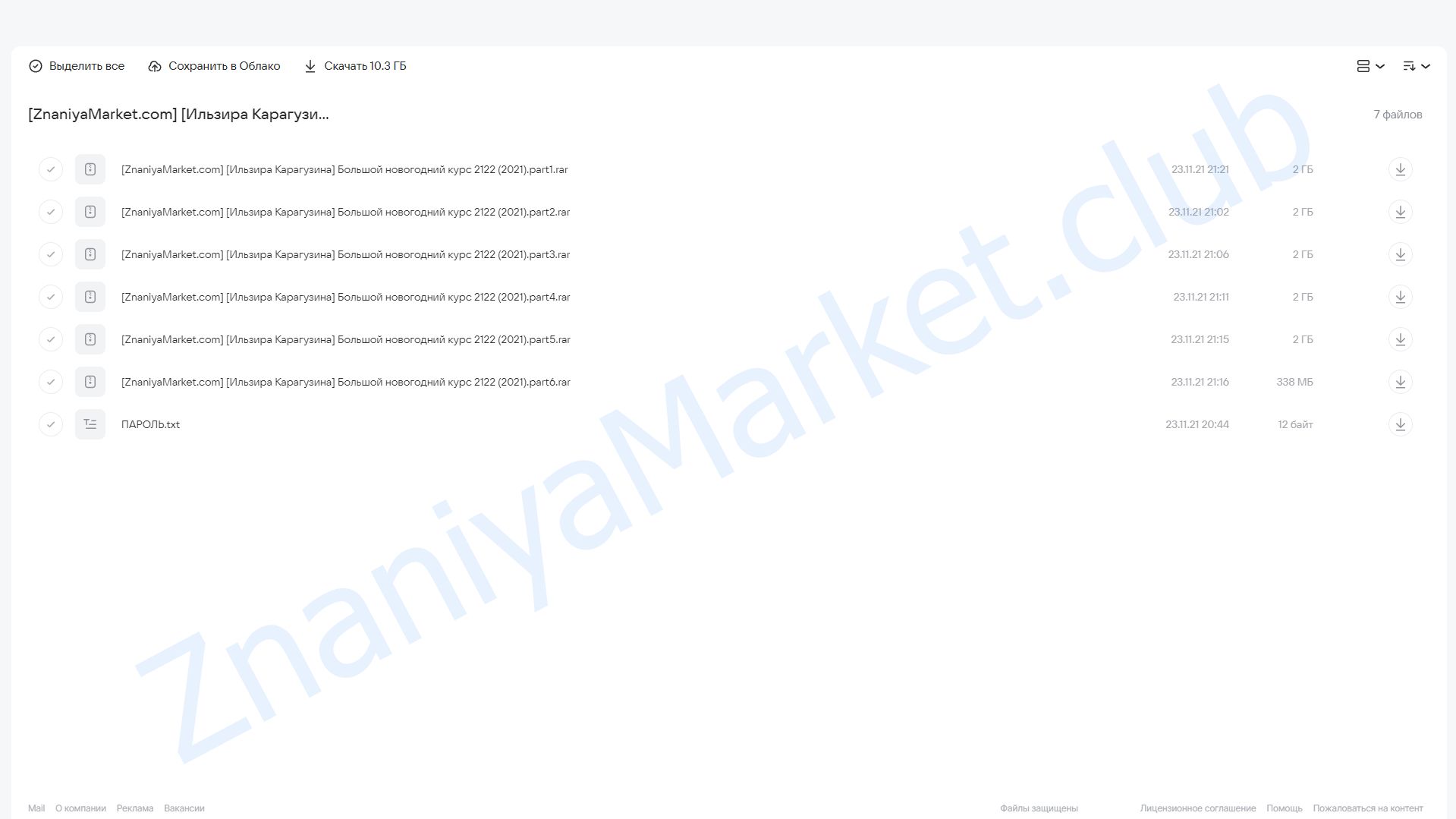 Большой новогодний курс 21/22 (Ильзира Карагузина) облако mail, фото 2 из 2.