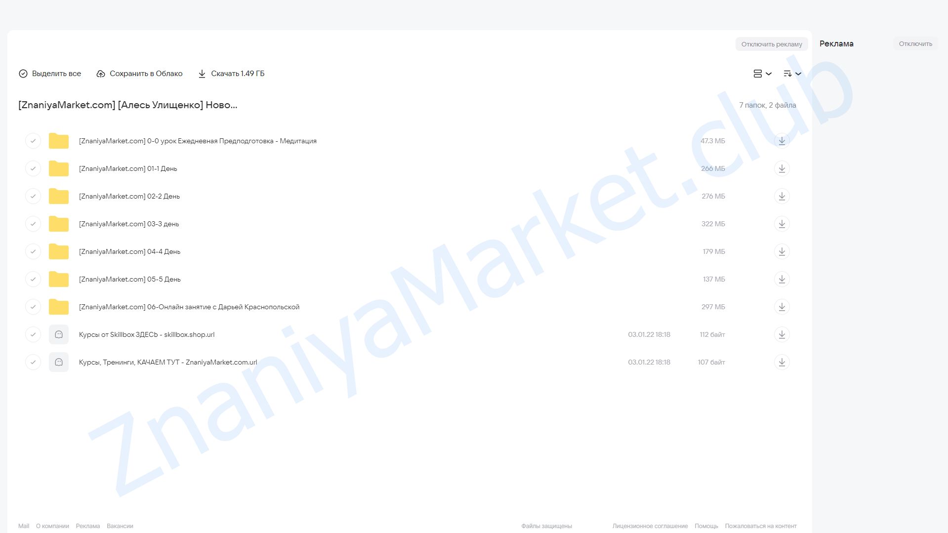 Новогодний интенсив (Алесь Улищенко) облако mail, фото 2 из 2.