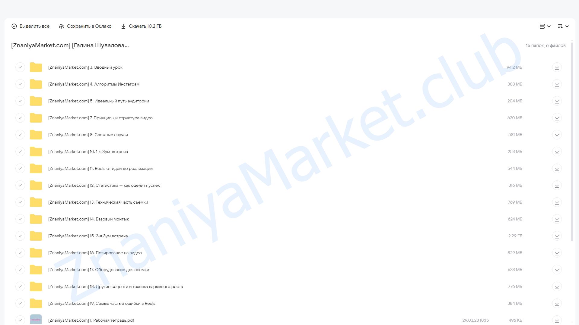 Короткие видео reels. Самый лучший курс по Reels. Тариф Лайт (Галина Шувалова) облако mail, фото 2 из 2.