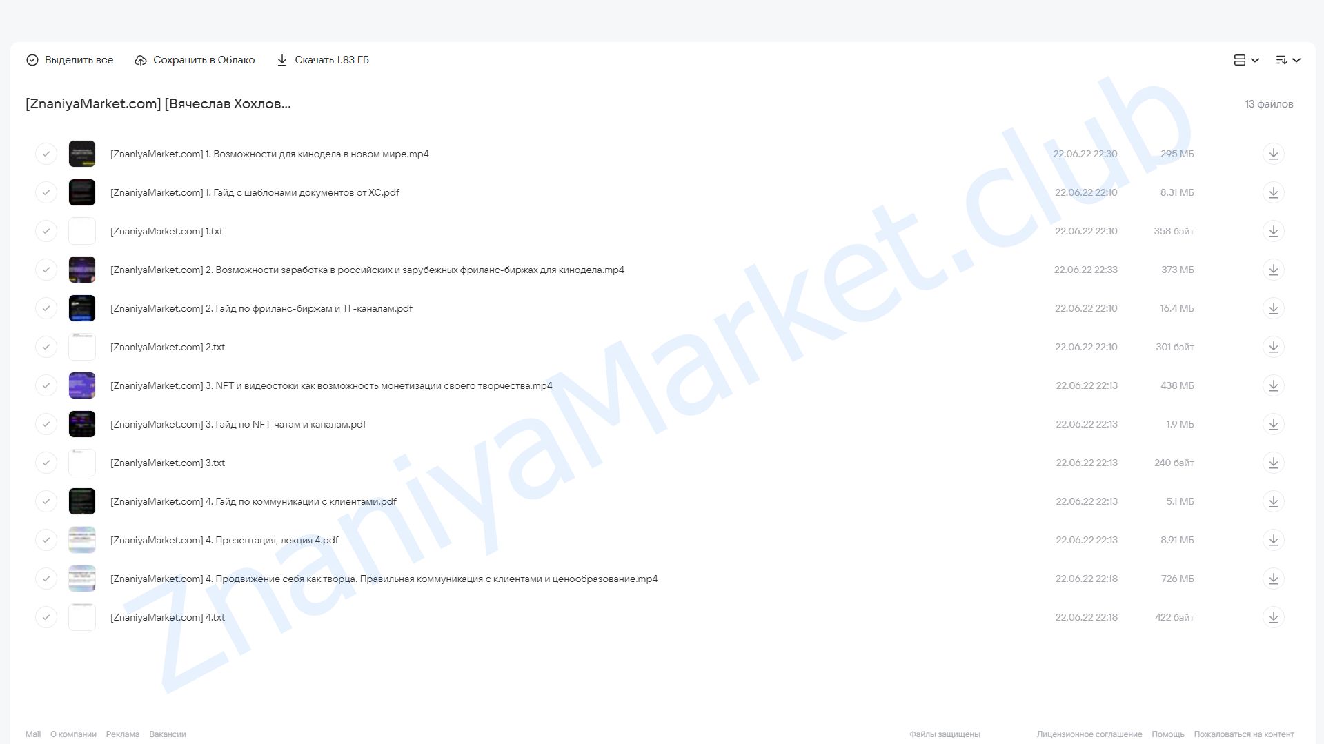 Как искать клиентов и зарабатывать на создании видео в 2022 году? (Вячеслав Хохлов, Влад Сабатовский) облако mail, фото 2 из 2.