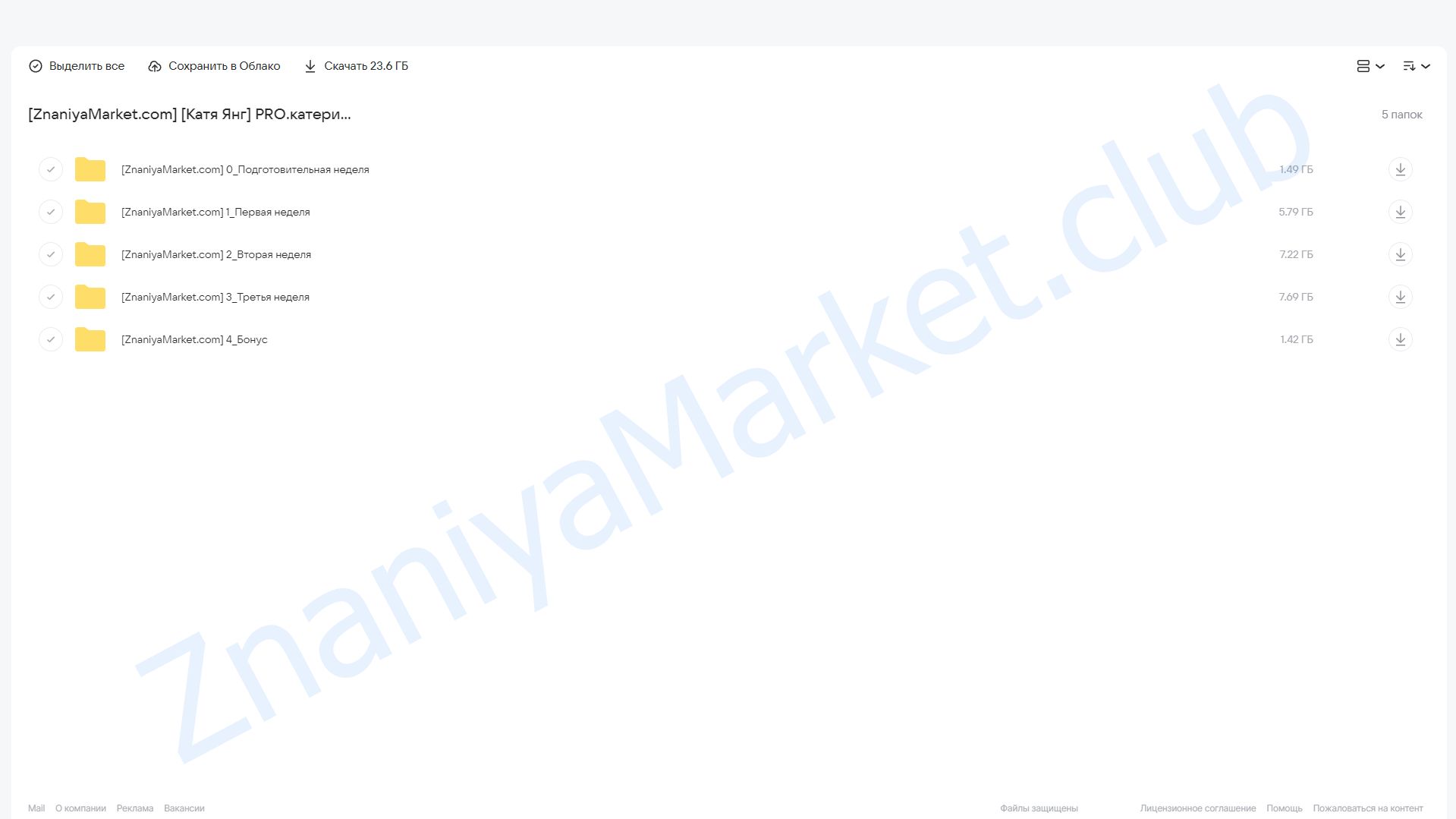 PRO.катерианство 4.0. Тариф «Самостоятельный» (Катя Янг) облако mail, фото 2 из 2.