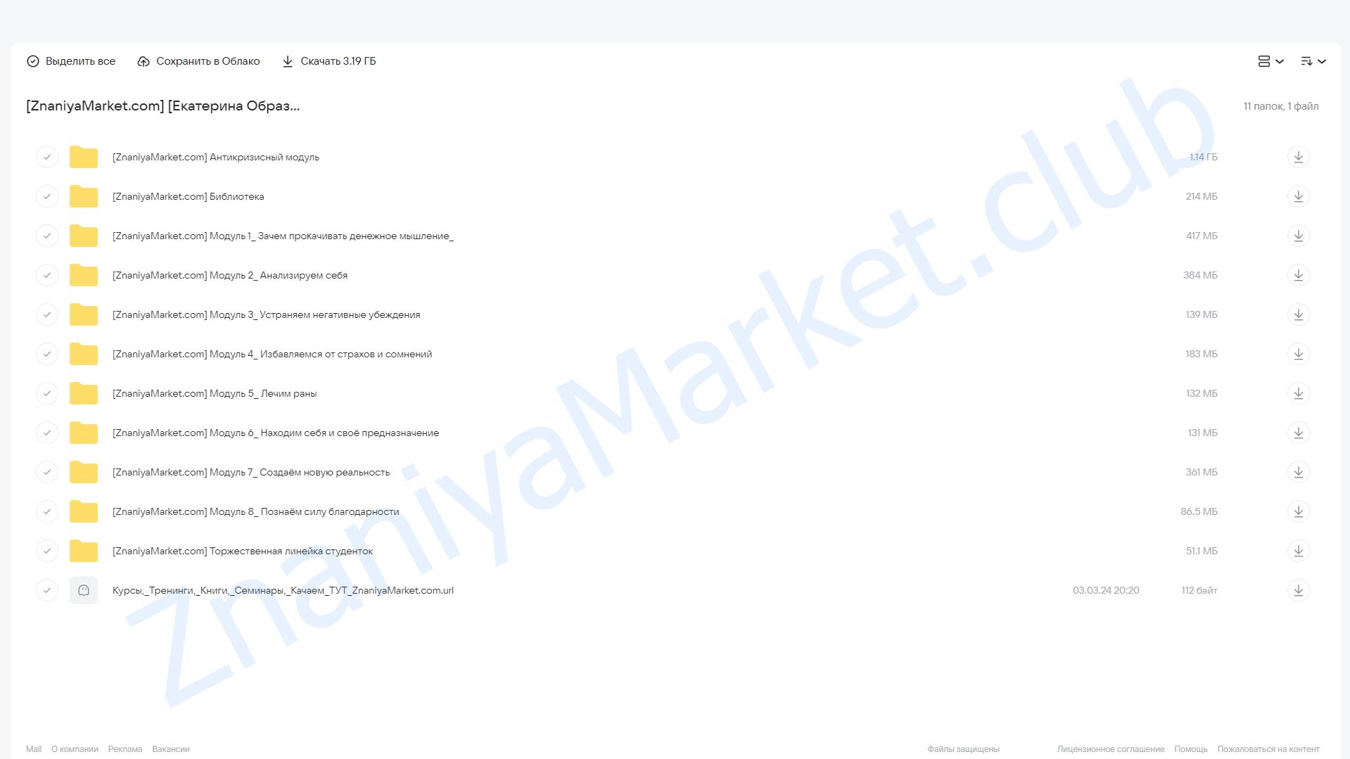 ИБК: Мышление миллионера. Тариф Бюджет (Екатерина Образцова) облако mail, фото 2 из 2.