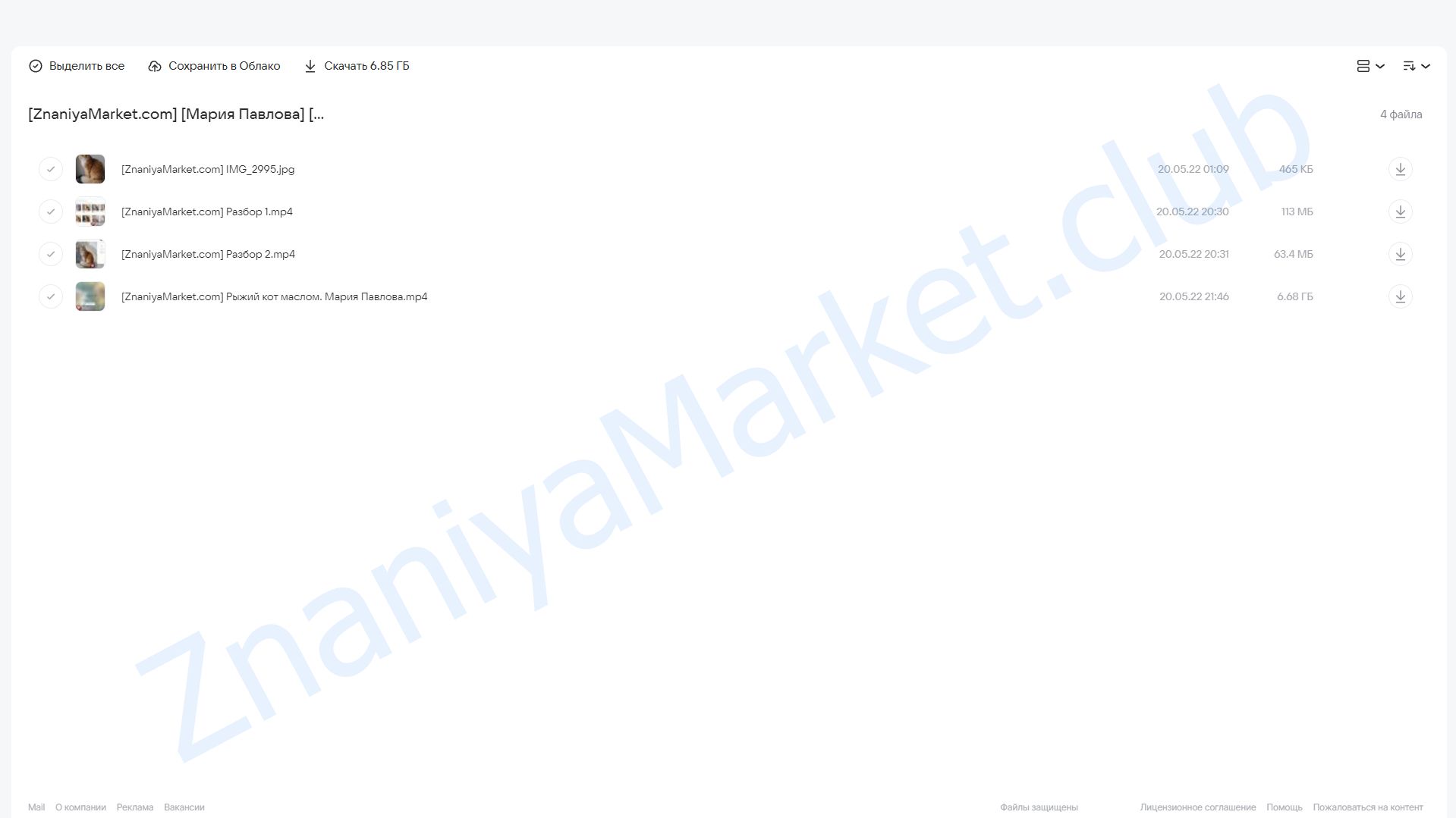 [lectoroom] Живопись рыжого кота маслом (Мария Павлова) облако mail, фото 2 из 2.