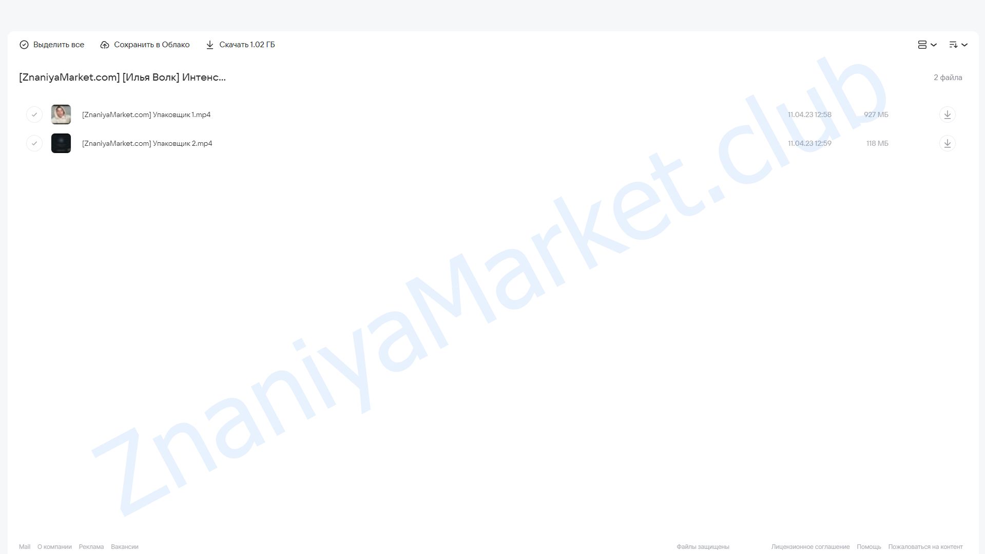 Интенсив «Упаковщик» (Илья Волк) облако mail, фото 2 из 2.