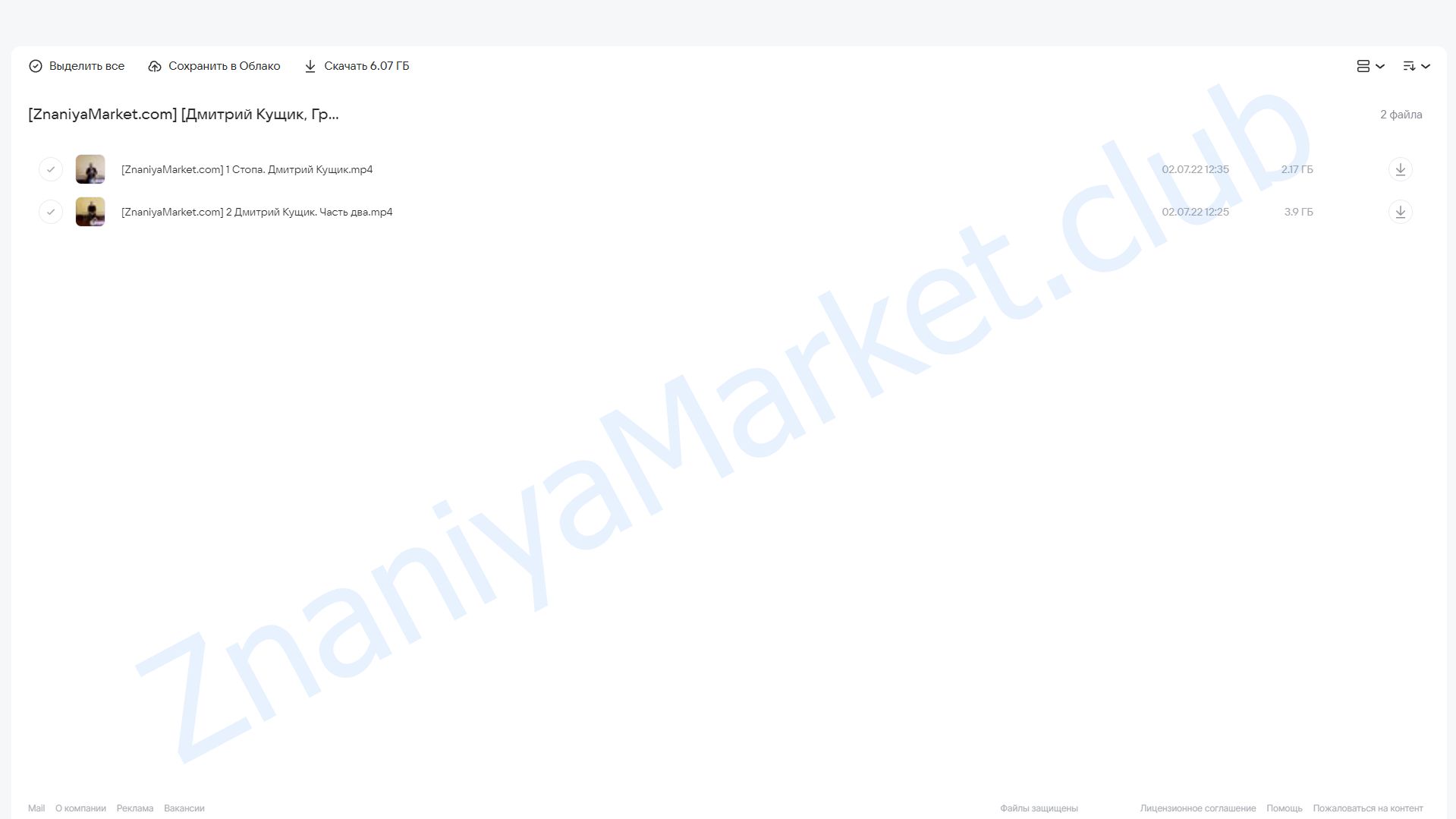 [NL-School] Cтопа (Дмитрий Кущик, Григорий Крутов) облако mail, фото 2 из 2.