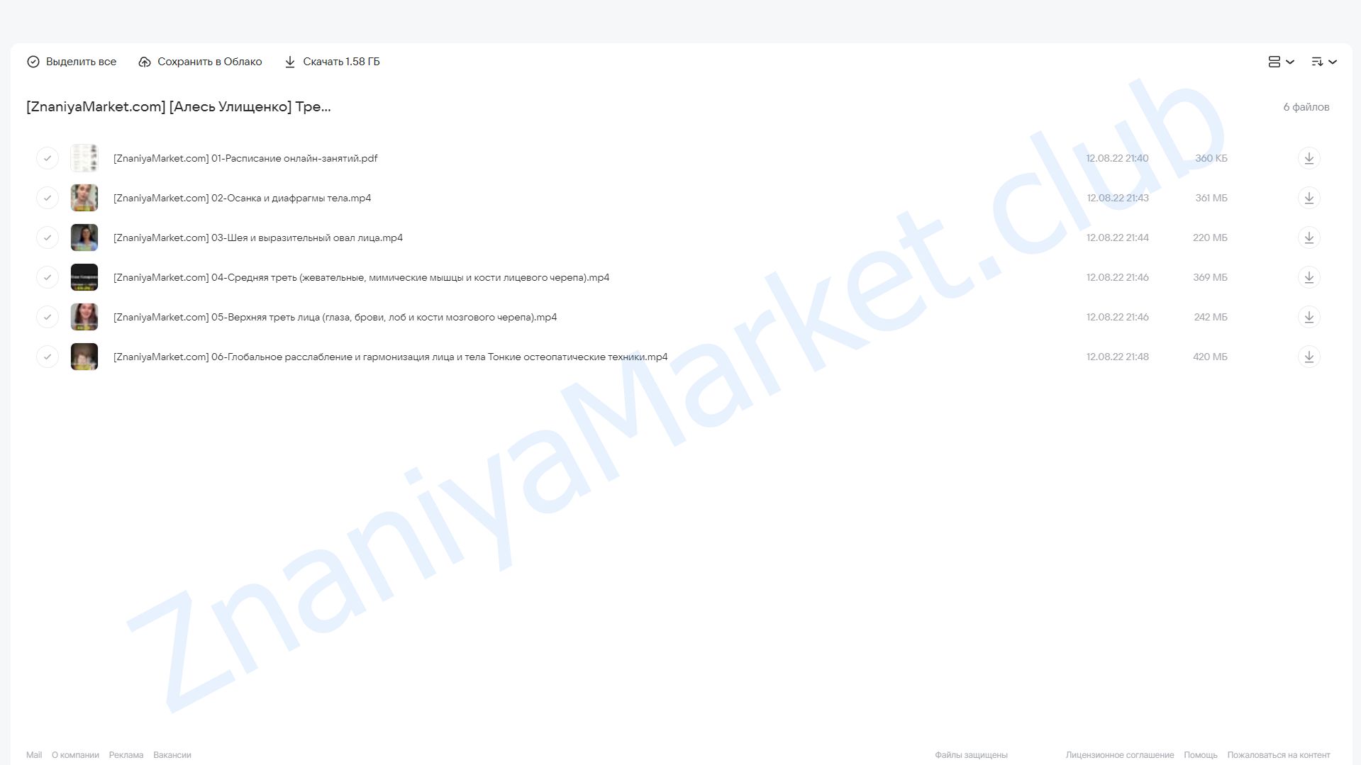 Тренинг-Курс 5 в 1 (Алесь Улищенко) облако mail, фото 2 из 2.