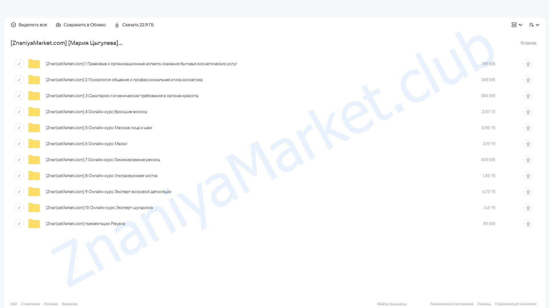 Курс «Косметик». Тариф Premium (Мария Цыгулева) облако mail, фото 2 из 2.