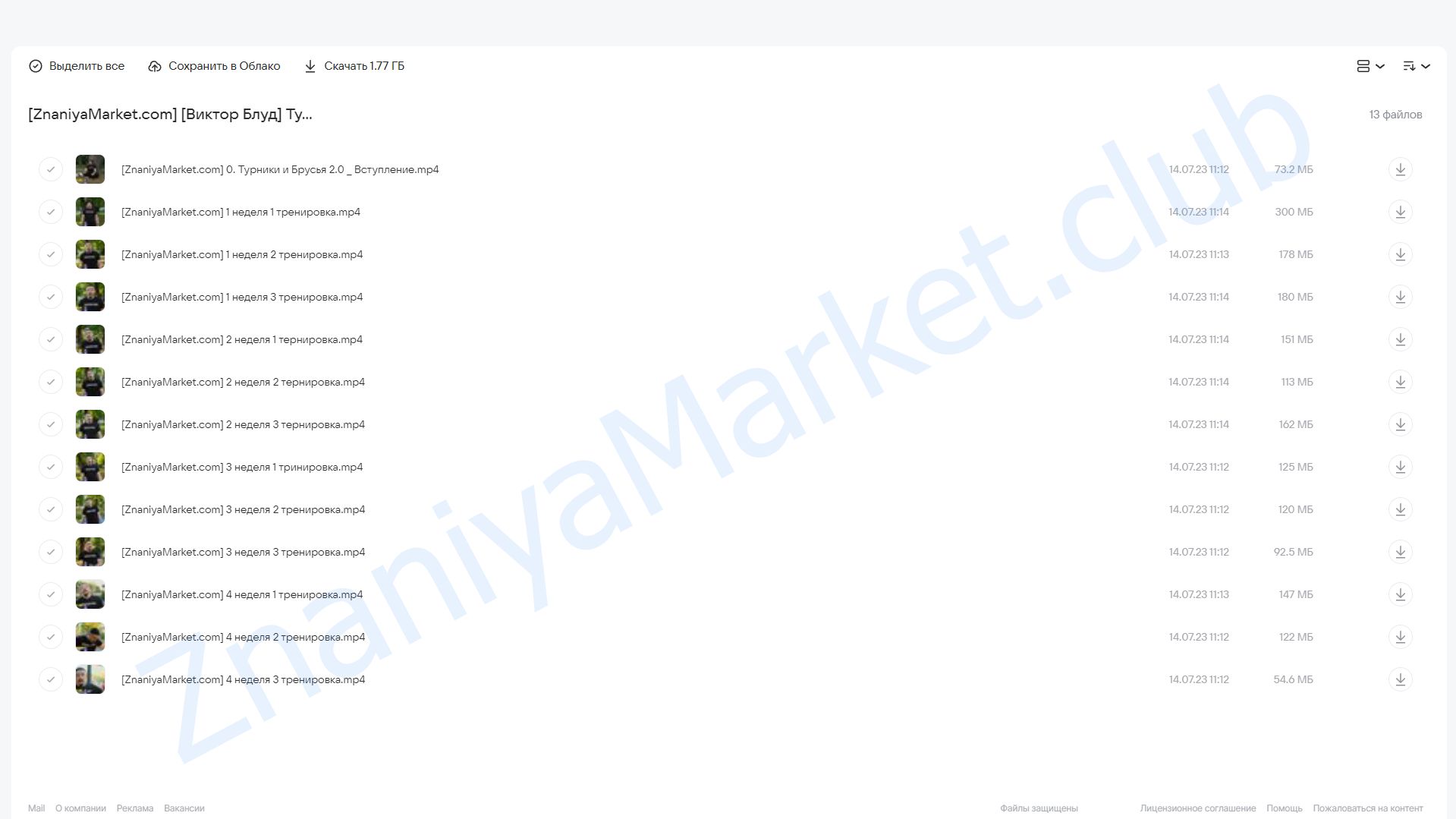 Турник и брусья 2.0 (Виктор Блуд) облако mail, фото 2 из 2.