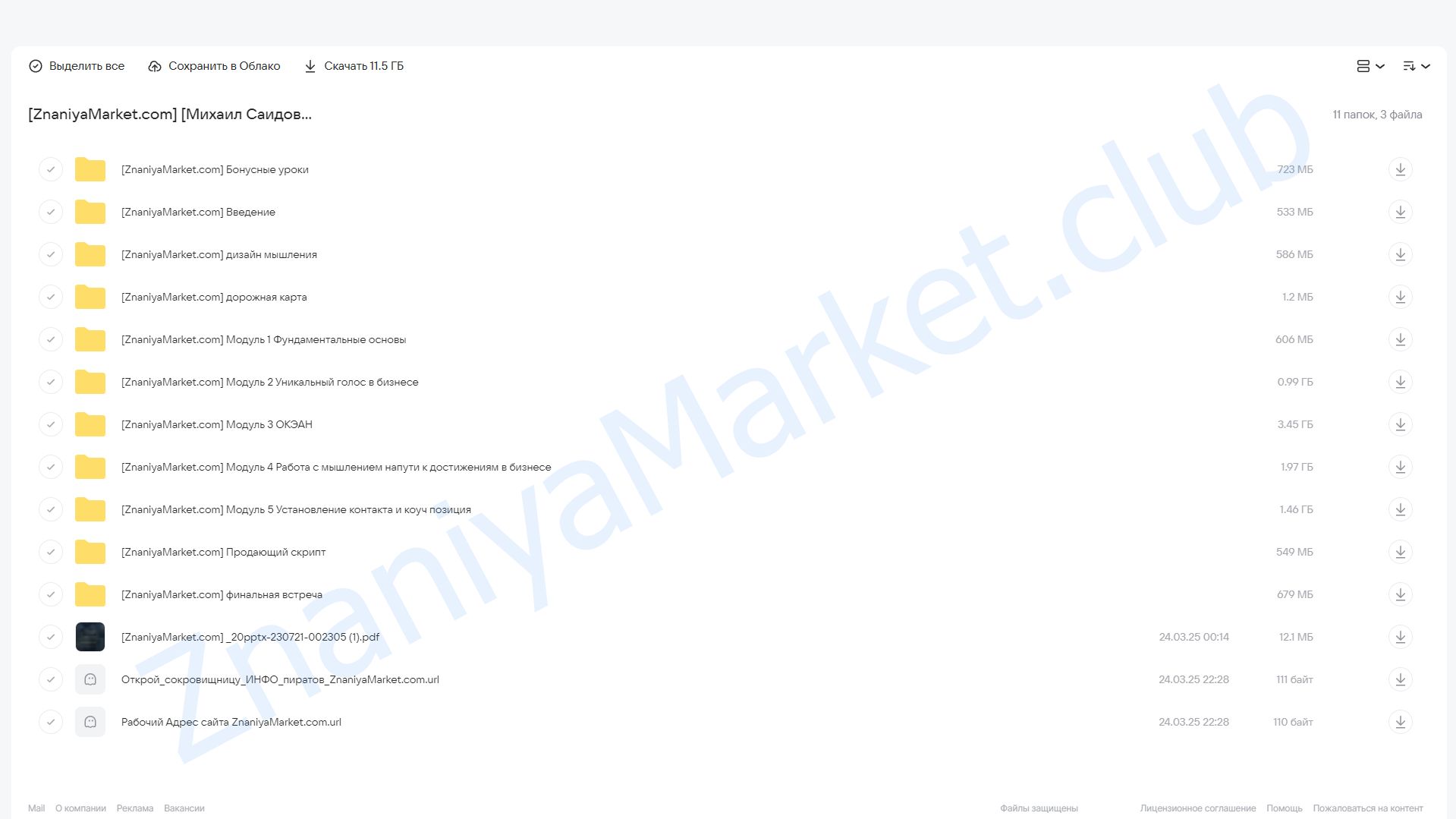 Система_20 (Михаил Саидов, Елена Долинская) облако mail, фото 2 из 2.