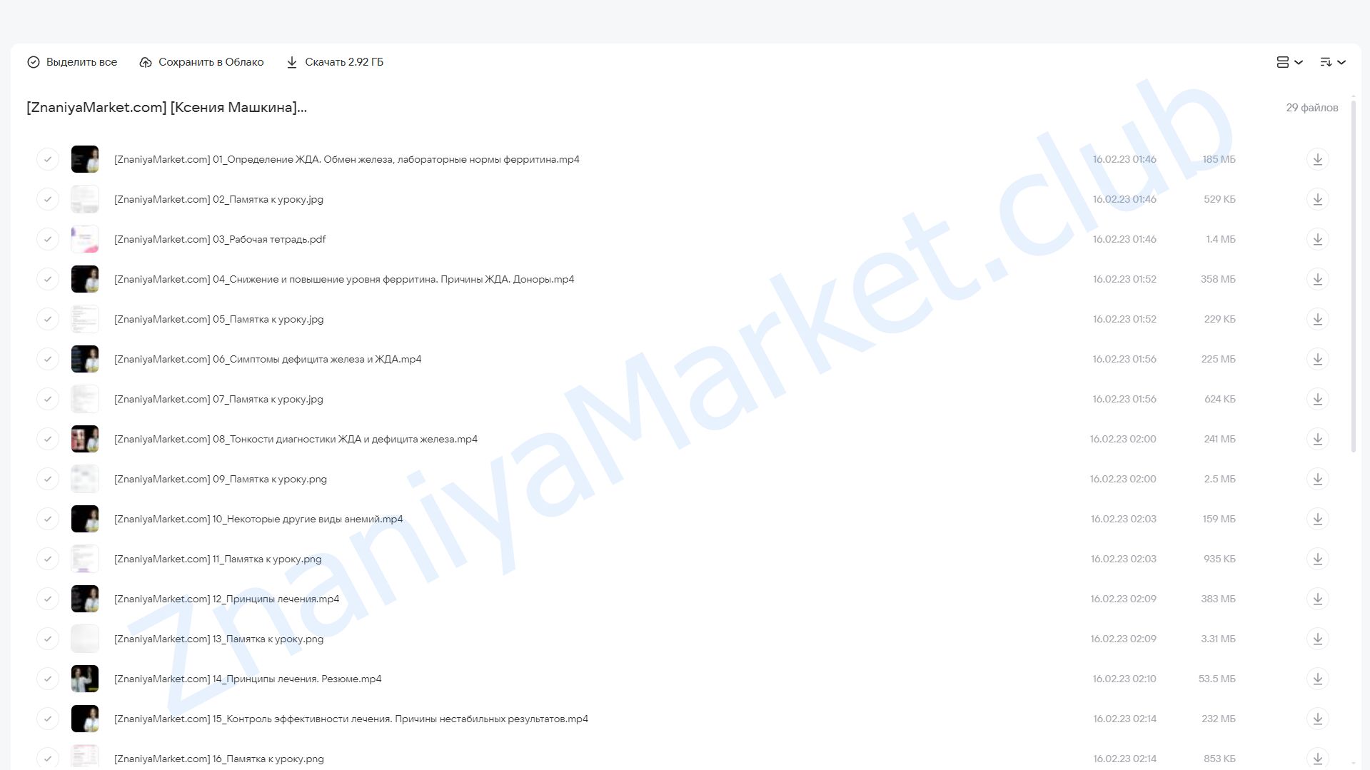 Железодефицитная анемия (Ксения Машкина) облако mail, фото 2 из 2.