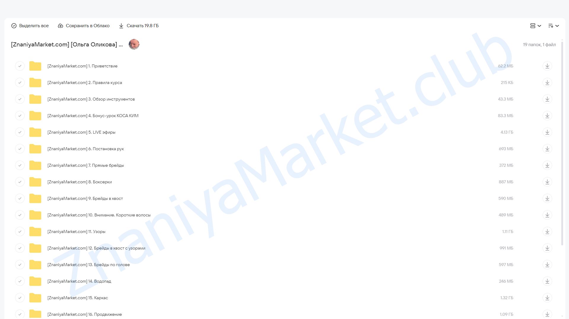 Брейды. Тариф Базовый (Ольга Оликова) облако mail, фото 2 из 2.