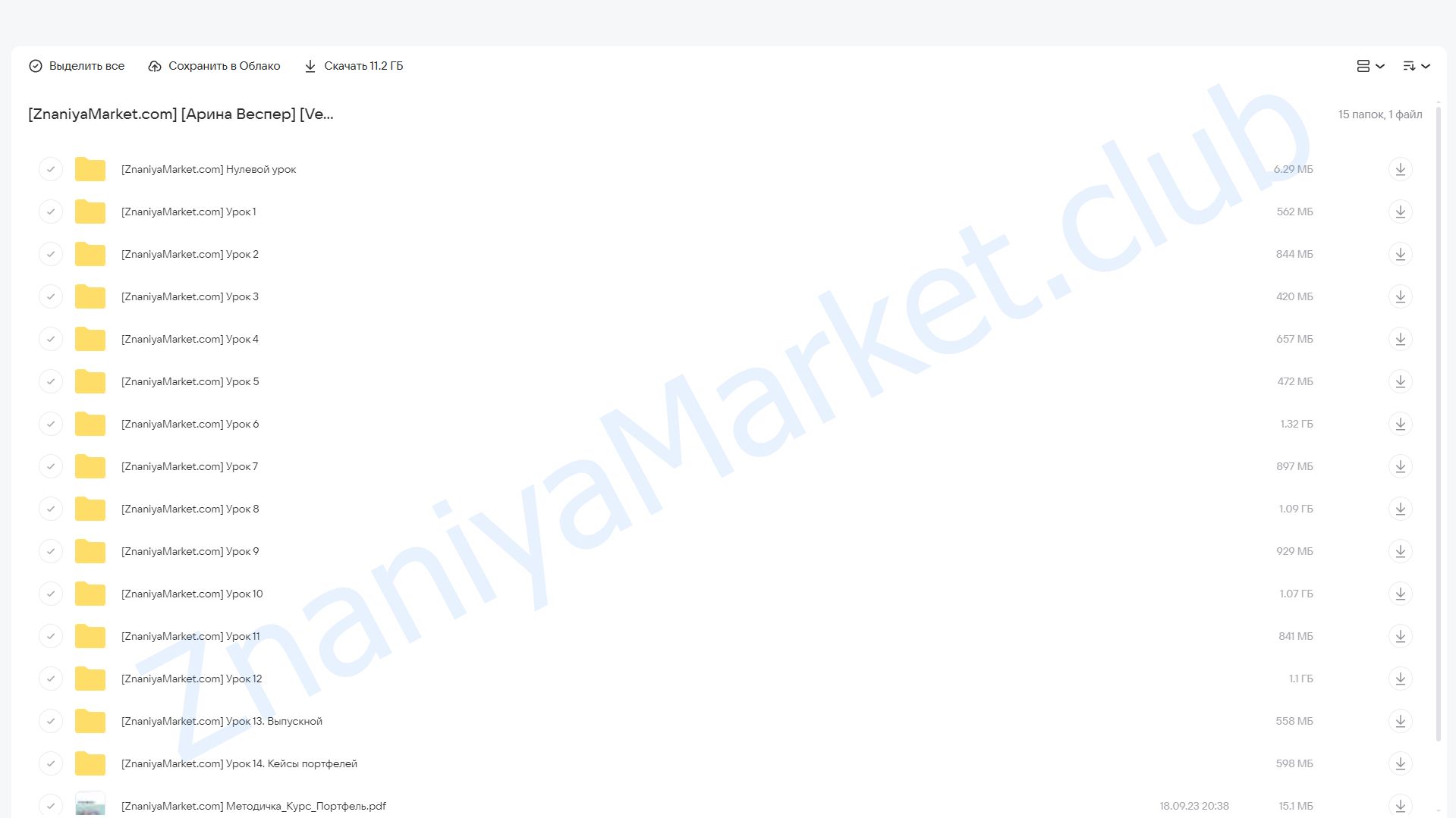 [Vesperfin] Портфель (Арина Веспер) облако mail, фото 2 из 2.