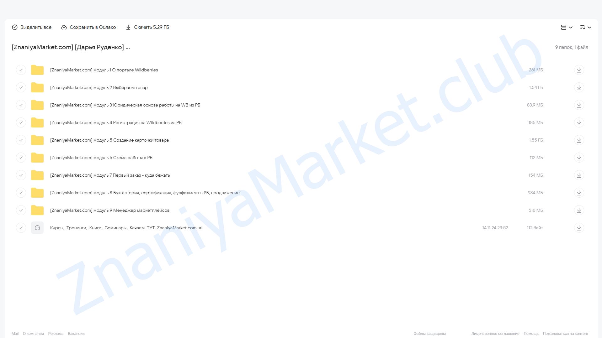 Wildberries из Беларуси. 7 поток. Тариф Я смотрю (Дарья Руденко) облако mail, фото 2 из 2.