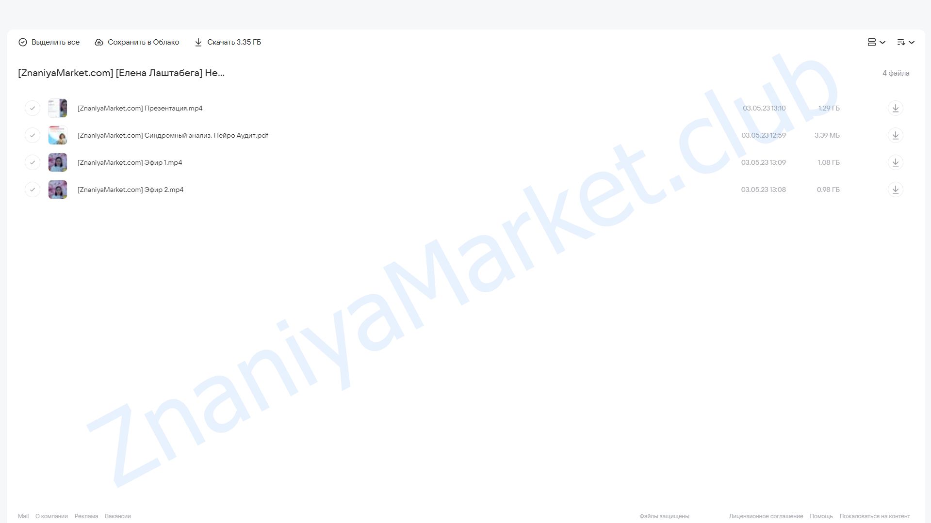 Нейро Аудит (Елена Лаштабега) облако mail, фото 2 из 2.