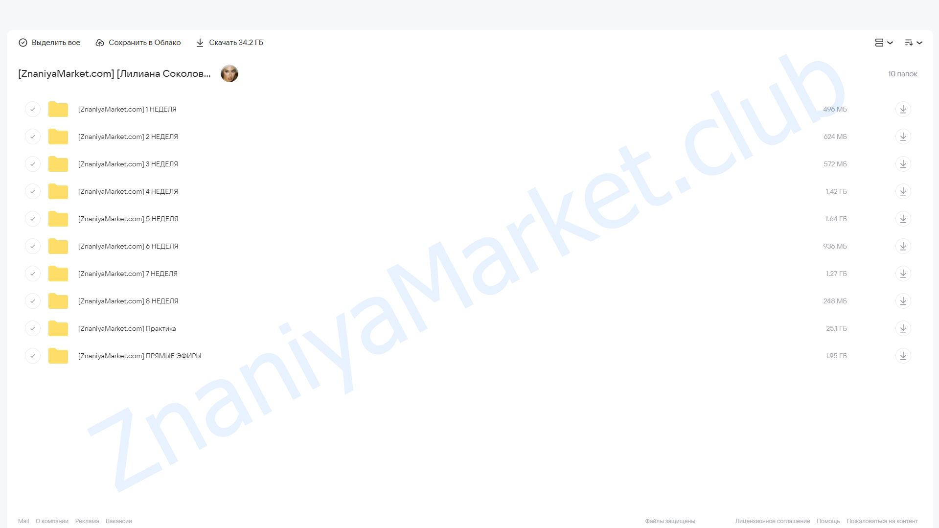 Videoway 2023. Тариф Medium (Лилиана Соколовская) облако mail, фото 2 из 2.