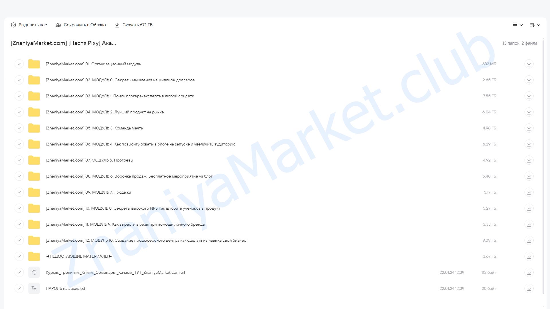 Академия запусков 7.0. Тариф VIP (Настя Pixy) облако mail, фото 2 из 2.