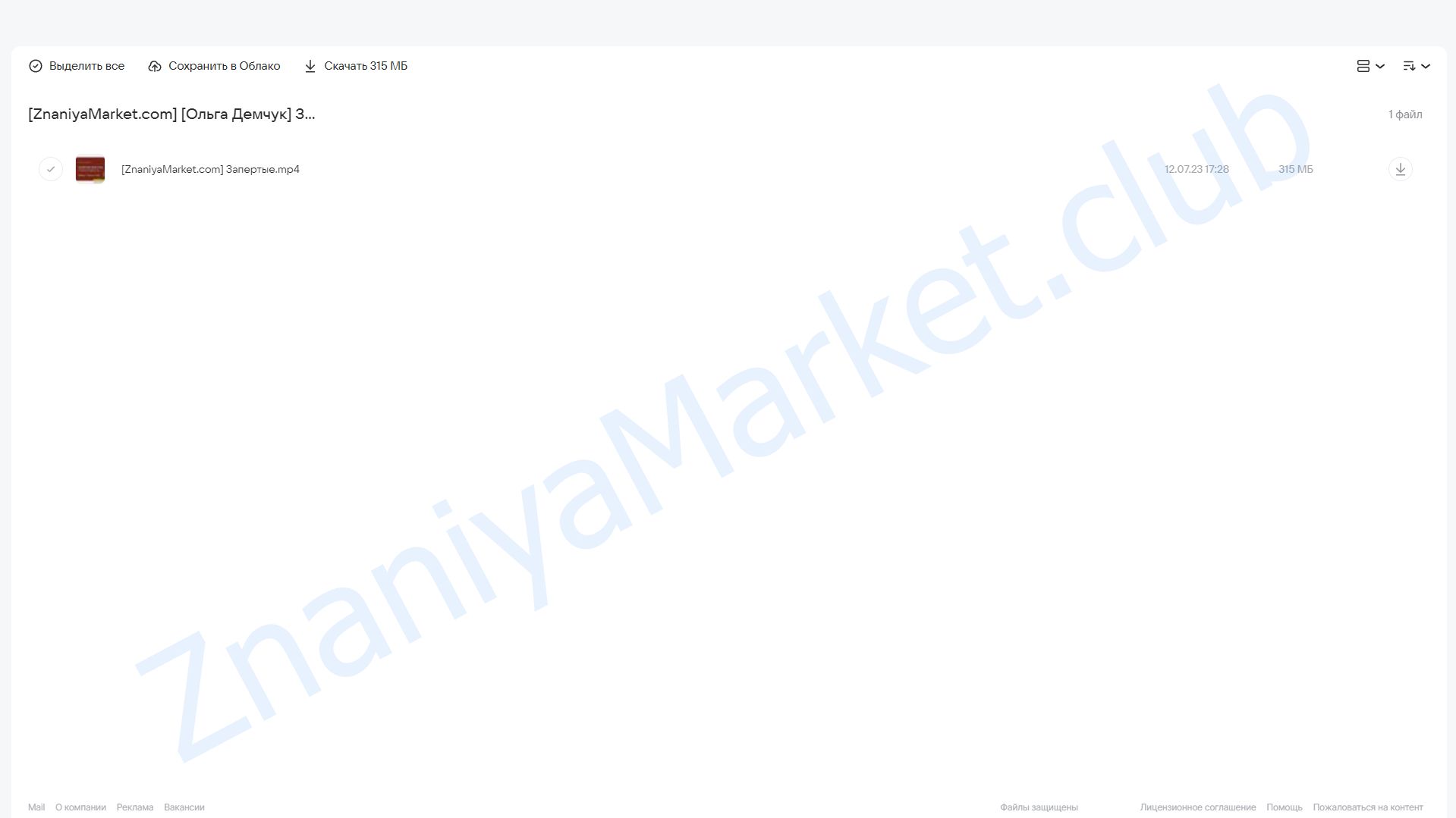 Запертые изнутри. Субъективность (Ольга Демчук) облако mail, фото 2 из 2.