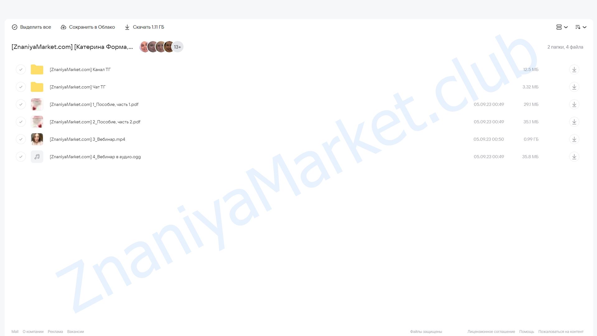 Твоё железное решение анемии (Катерина Форма, Ирина Выборнова) облако mail, фото 2 из 2.