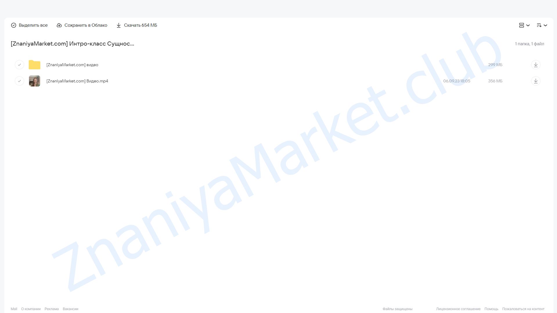 Интро-класс Сущности и очистка помещения от А до Я (Марина Кульпина) облако mail, фото 2 из 2.