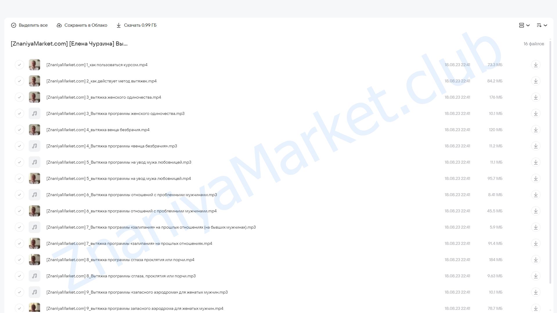 Вытяжка негативных программ на безбрачие (Елена Чурзина) облако mail, фото 2 из 2.