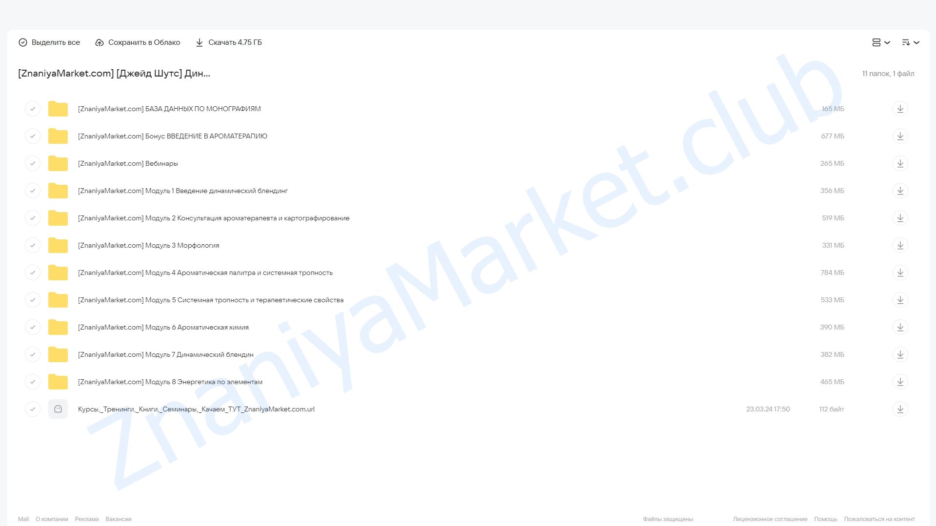 Динамический блендинг (Джейд Шутс) облако mail, фото 2 из 2.